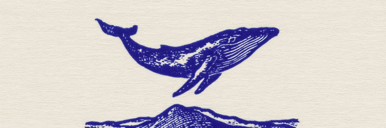 Alpha Whale cover image